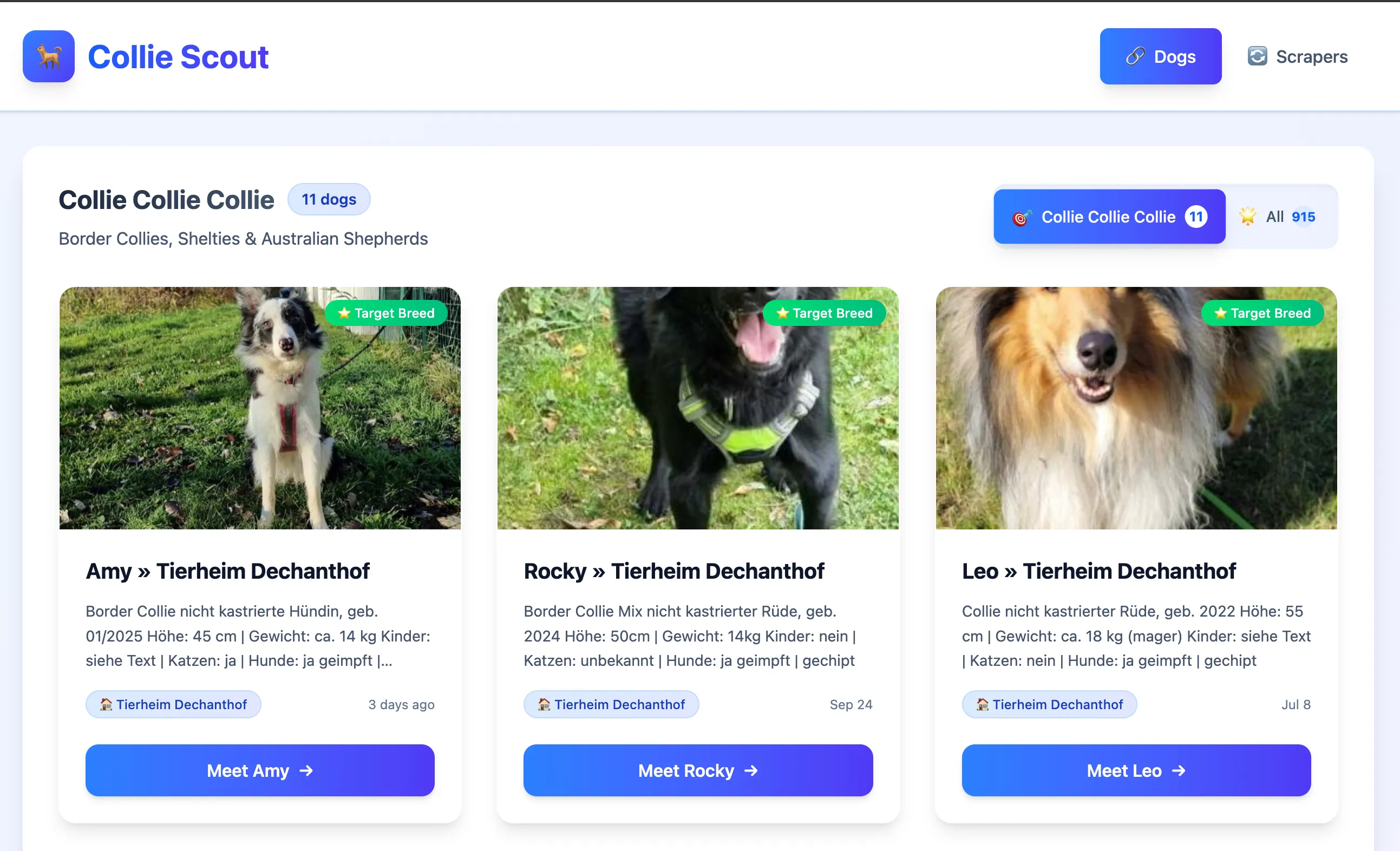 Screenshot of Collie Scout